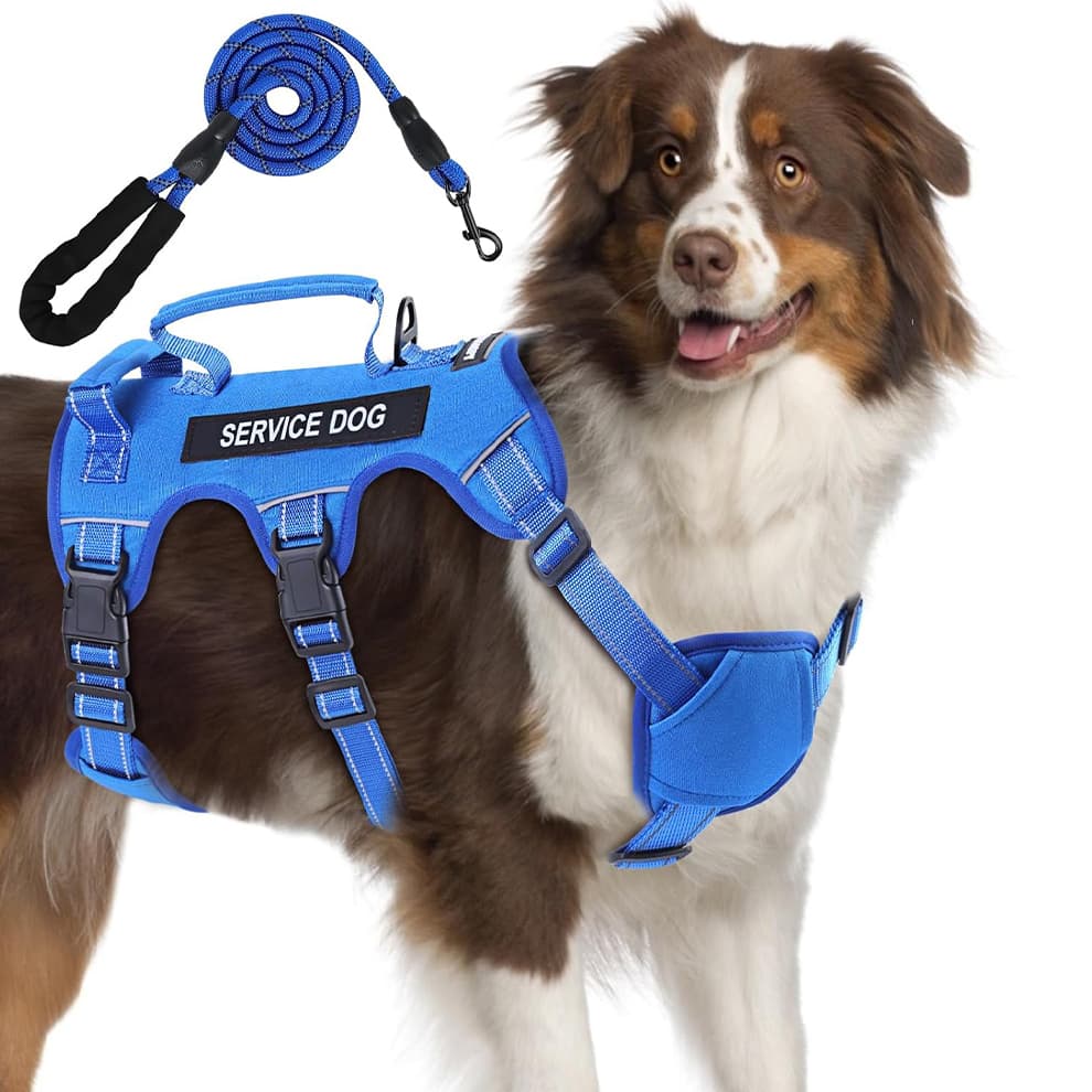 Blue escape resistant no pull dog harness for large dogs