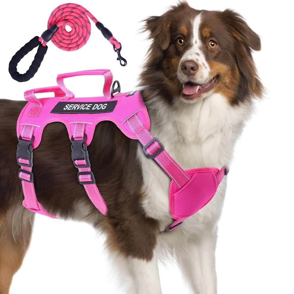 Pink escape proof training harness with front and back clips