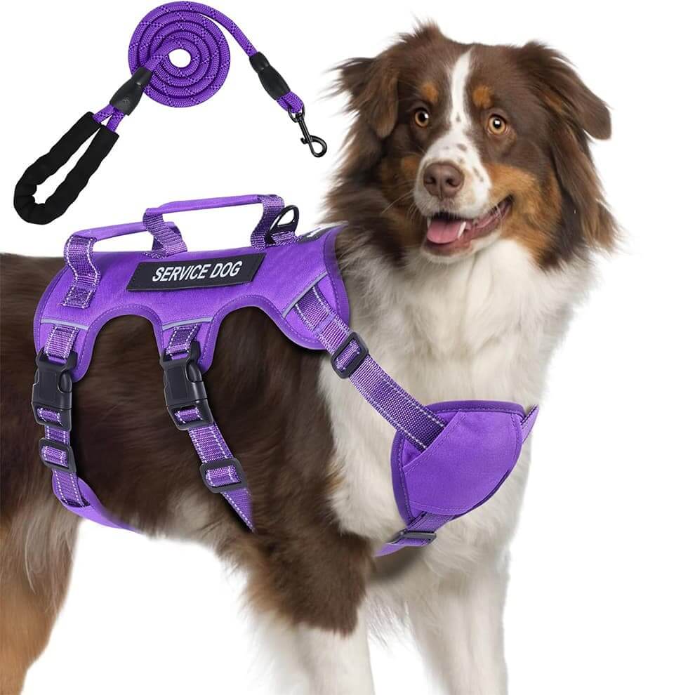 Purple heavy duty escape proof dog harness with handle