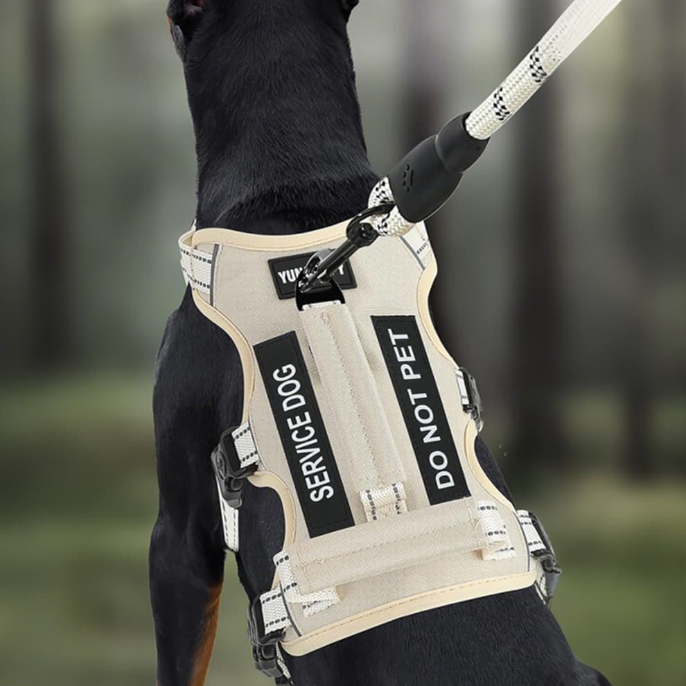 Escape resistant harness with safety lock buckles for secure fit