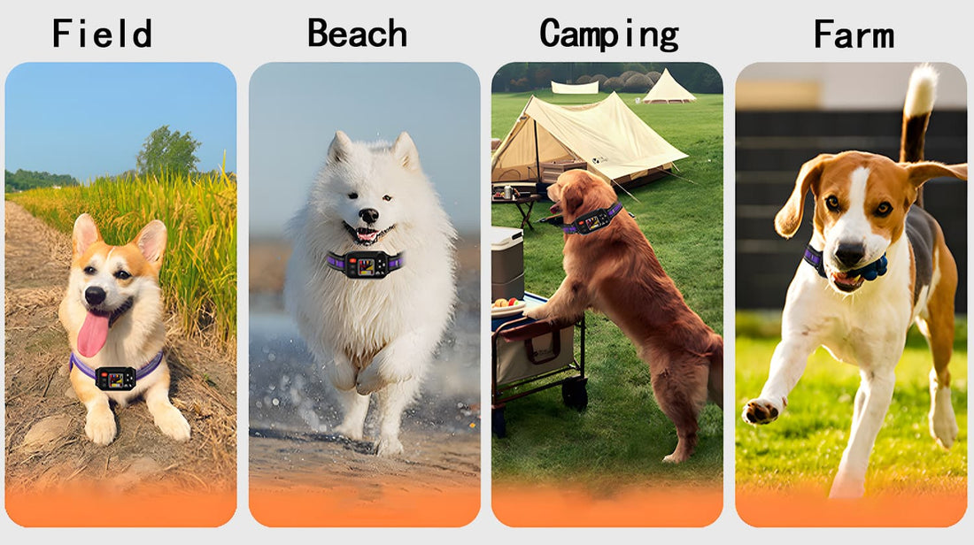 GPS dog fence collar designed for outdoor use in fields, beaches, camping, and farms