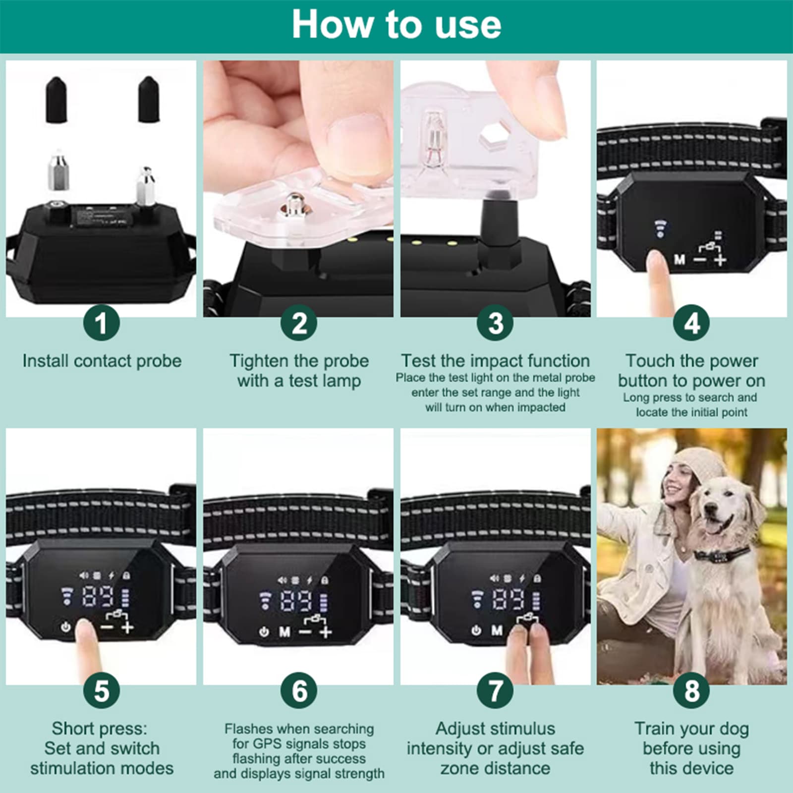 Dog wearing waterproof GPS training collar with adjustable strap and reflective safety design
