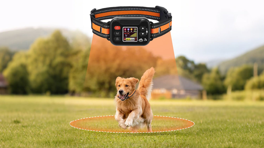 GPS dog fence collar showing active signal range during dog training session