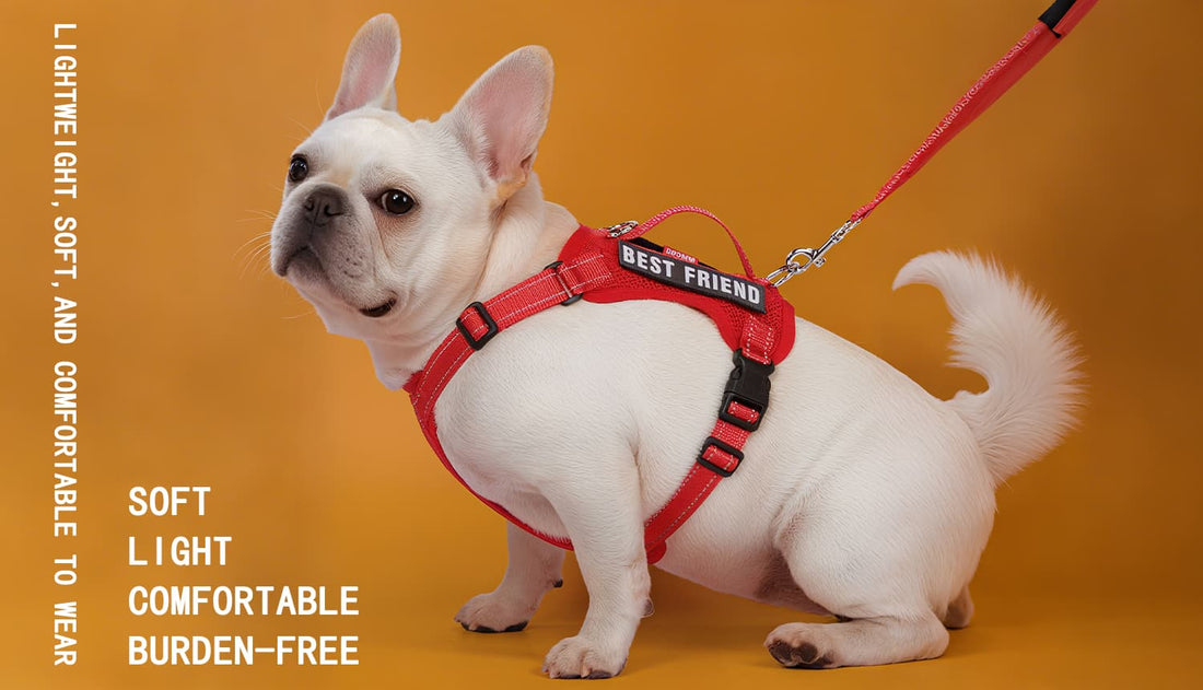 Harness and leash for small dogs lightweight breathable vest with reflective straps and secure fit
