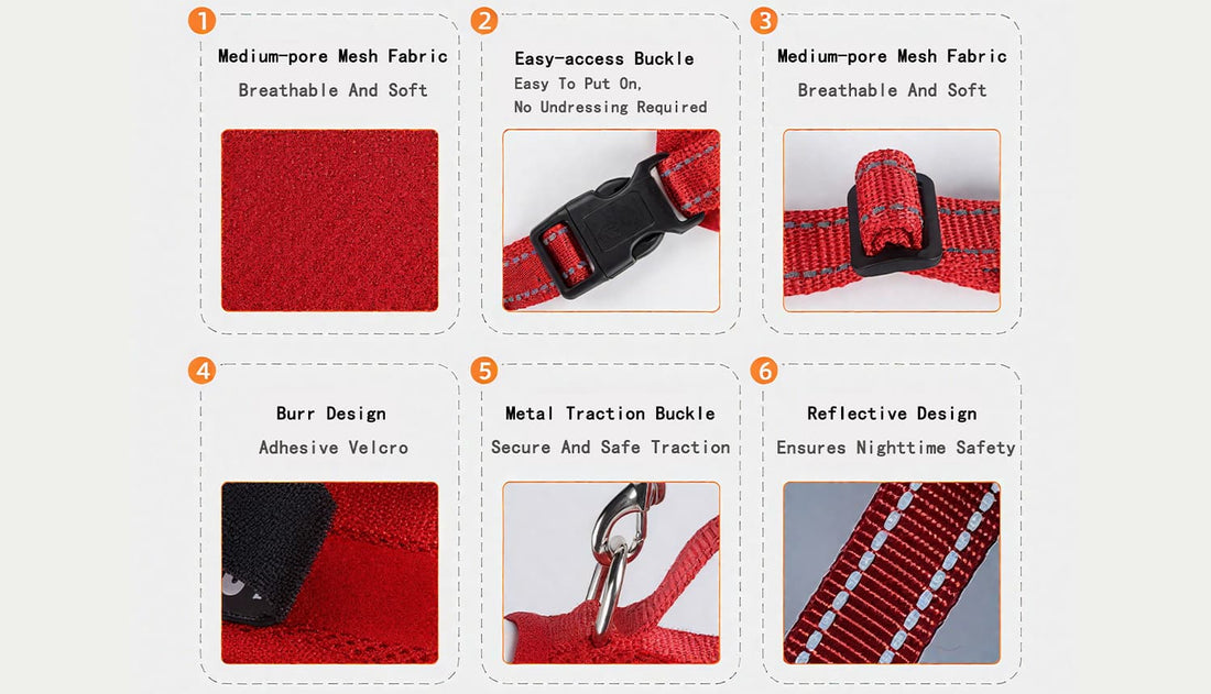 Harness and leash for small dogs showing breathable mesh fabric, reflective straps, buckles, and leash hook