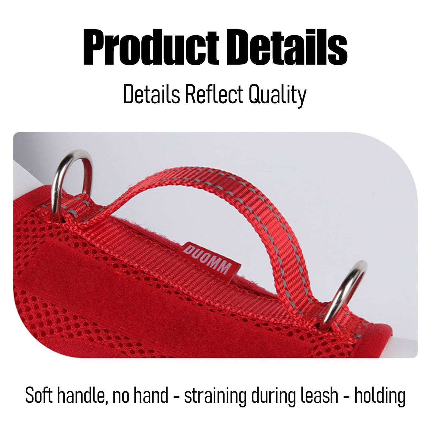 Harness and leash for small dogs with reinforced handle and metal leash buckle