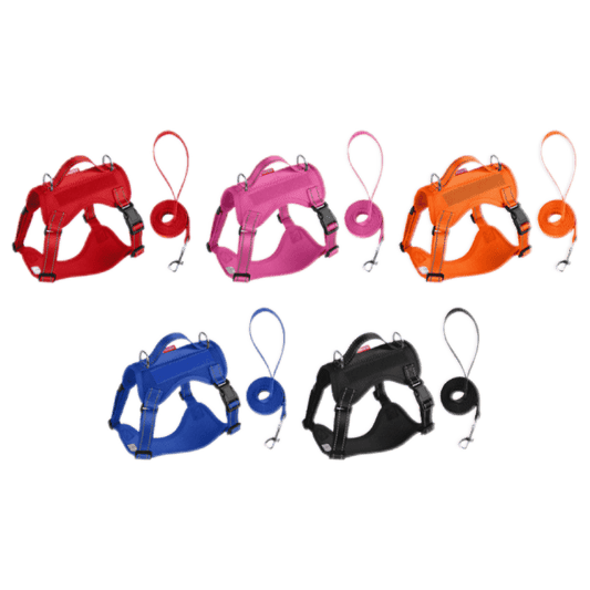 Harness and leash for small dogs with reflective design and breathable mesh