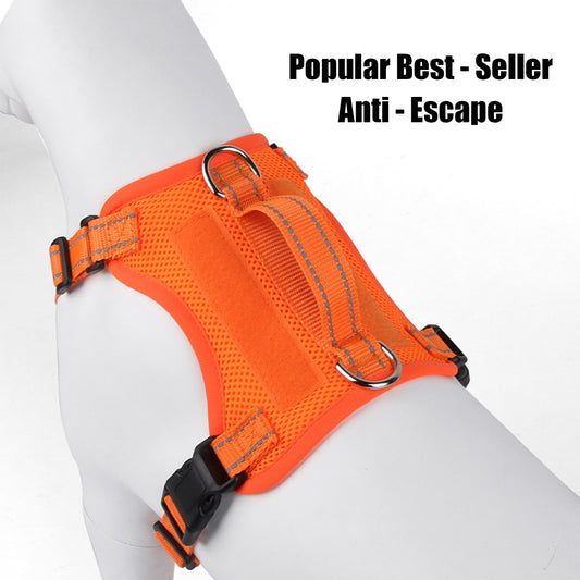 Harness and leash for small dogs available in red, pink, orange, blue, and black