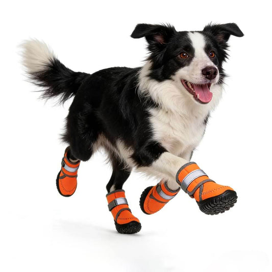 Dog walking in deep snow wearing splash-proof high top dog boots, serving as warm winter paw protectors that keep feet dry and safe from cold ice.