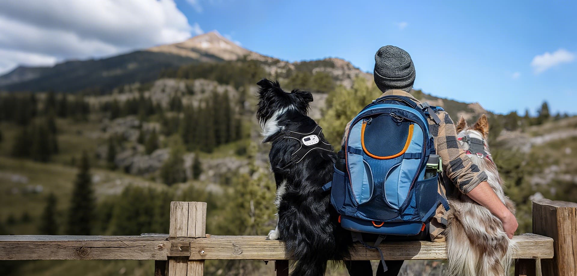 Home banner showing a dog hiking with its owner on an outdoor adventure