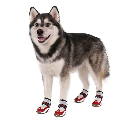 Large Husky dog standing comfortably wearing rugged Dog Hiking Boots ready for outdoor adventures.