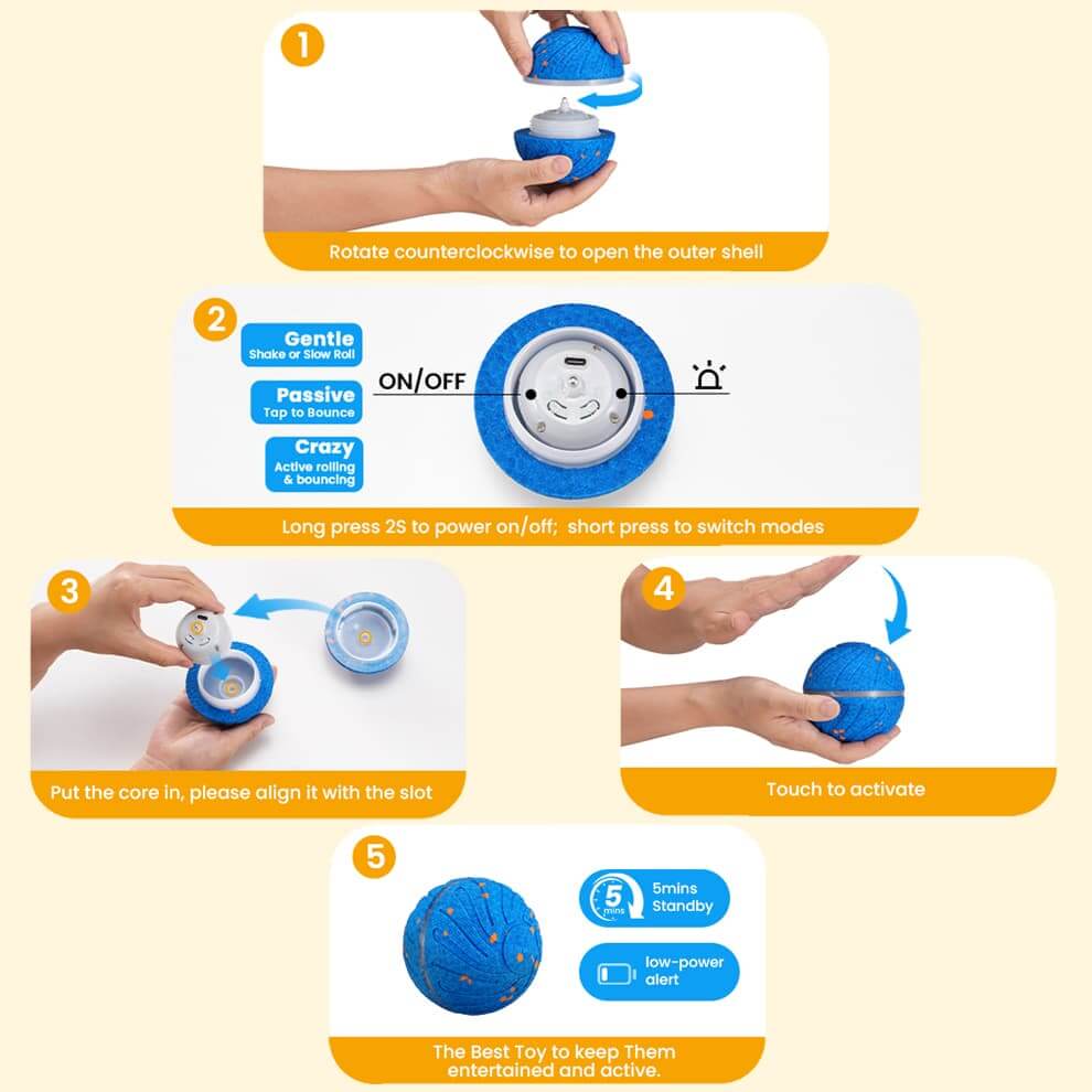 Step-by-step guide on how to use and activate interactive dog balls