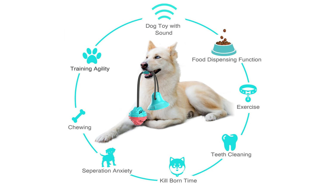 Interactive dog chew toy with sound, food dispensing, teeth cleaning, and agility training features