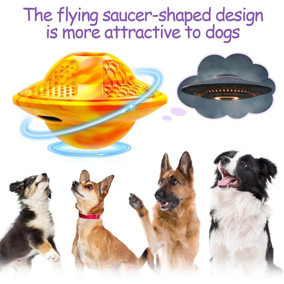 Interactive dog puzzle toys in flying saucer shape attracting dogs’ attention