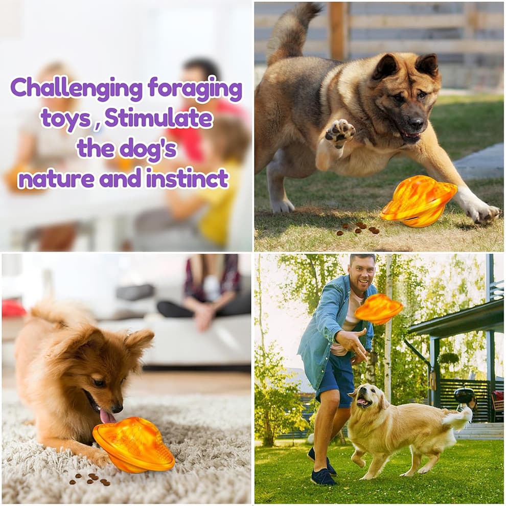 Dogs playing with interactive dog puzzle toys indoors and outdoors for fun