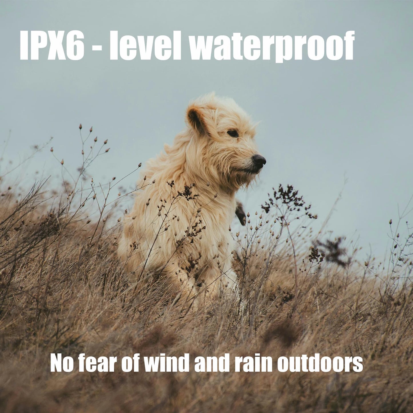IPX6 waterproof GPS dog training collar designed for outdoor use in rain and wind