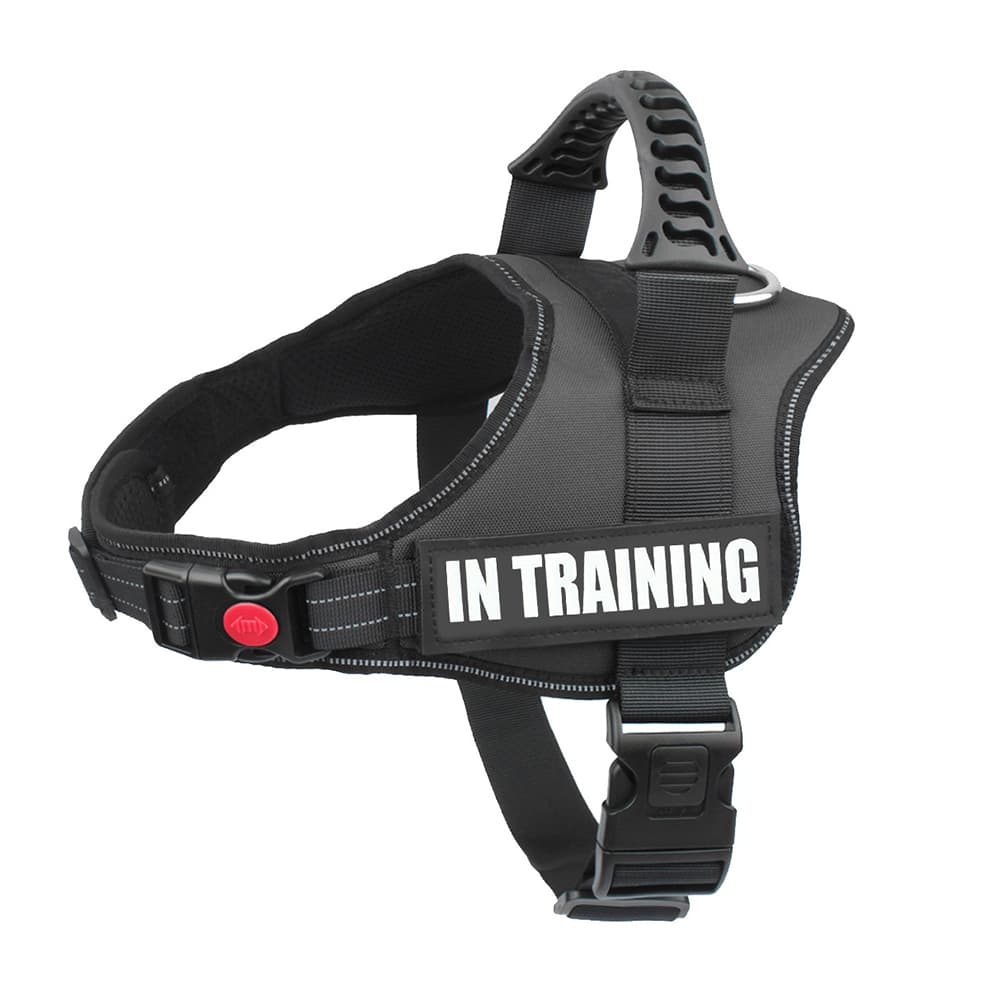 Large dog harness reflective no pull black in training vest made of durable oxford fabric for safety