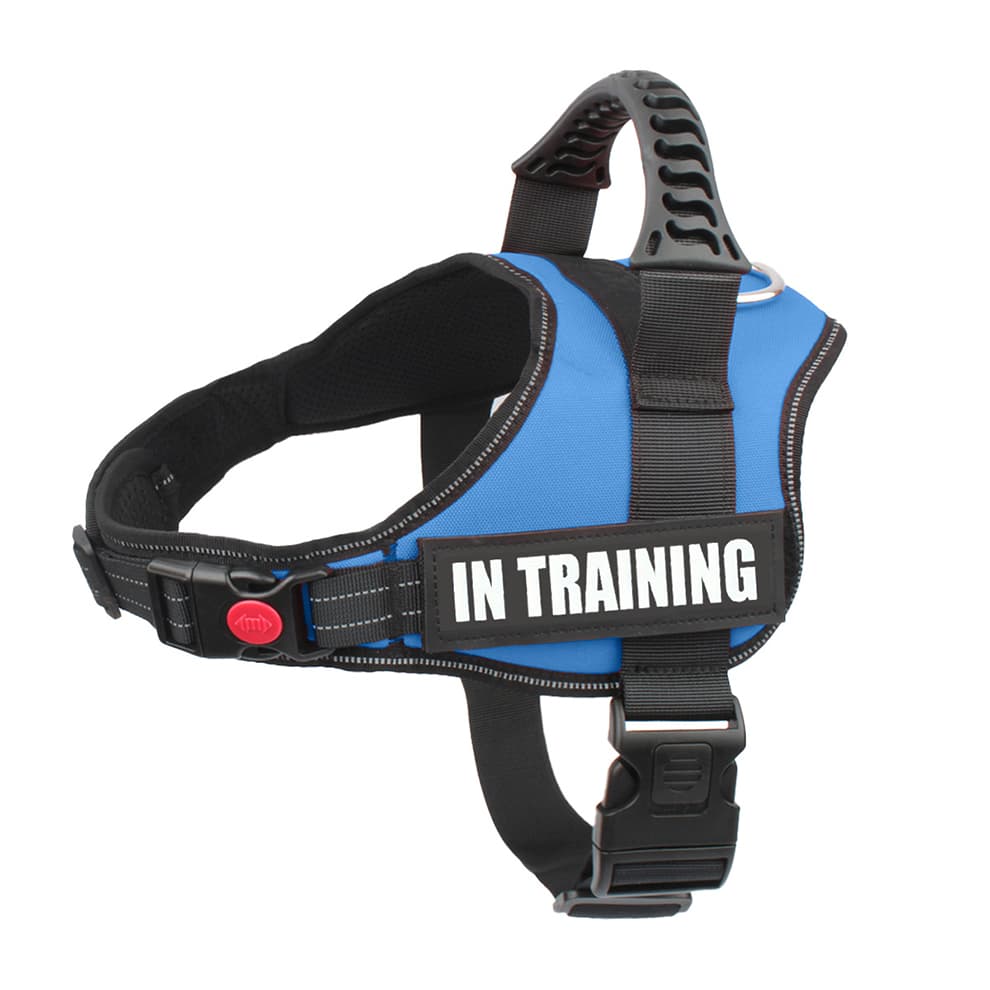 Large dog harness reflective no pull blue in training vest with breathable mesh and strong D-ring leash attachment