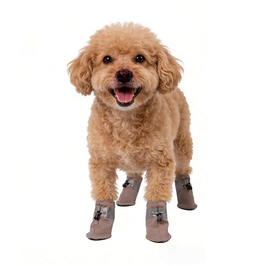 Brown Poodle standing comfortably wearing Lightweight Dog Shoes, showing the snug fit that makes them better than loose socks for dogs.