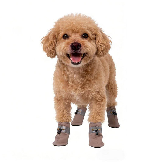 Brown Poodle standing comfortably wearing Lightweight Dog Shoes, showing the snug fit that makes them better than loose socks for dogs.