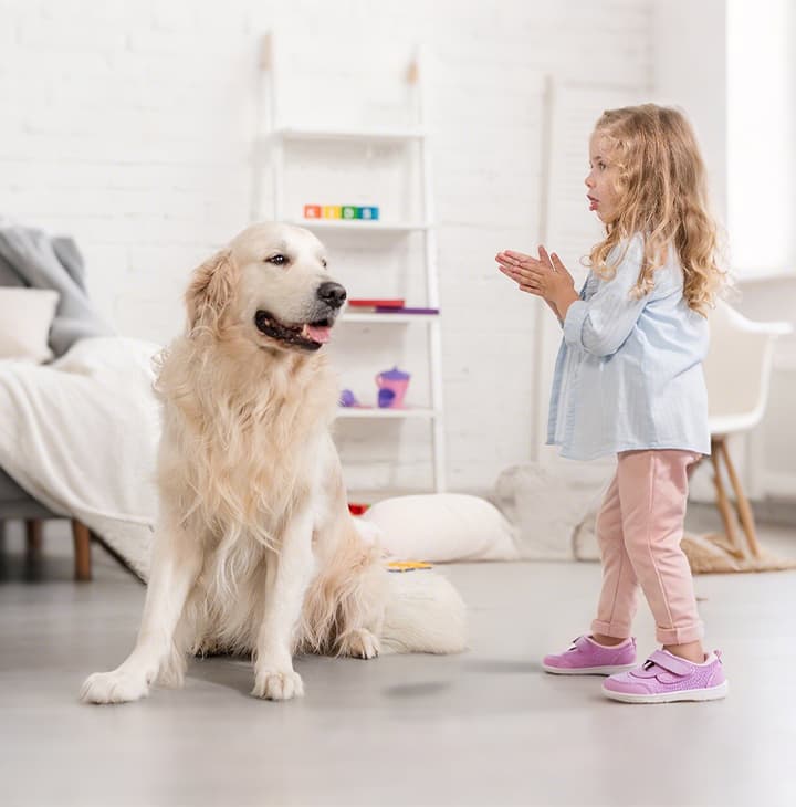 smiling-little-girl-standing-and-clapping-hands-at-golden-retriever-dog-in-bright-living-room