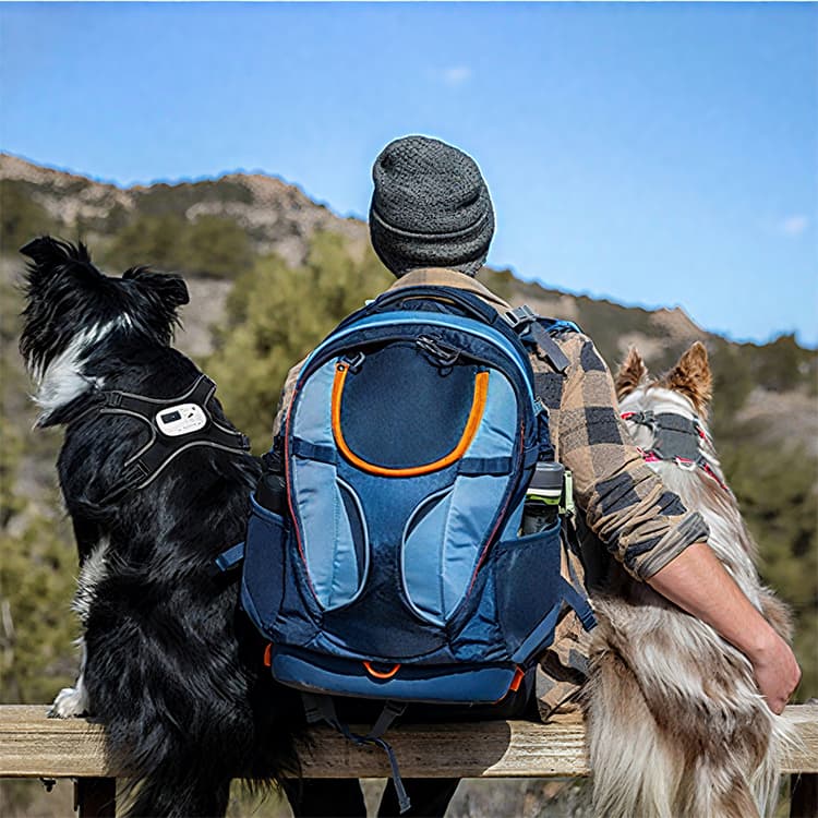 Mobile home banner featuring a dog hiking with its owner during an outdoor adventure