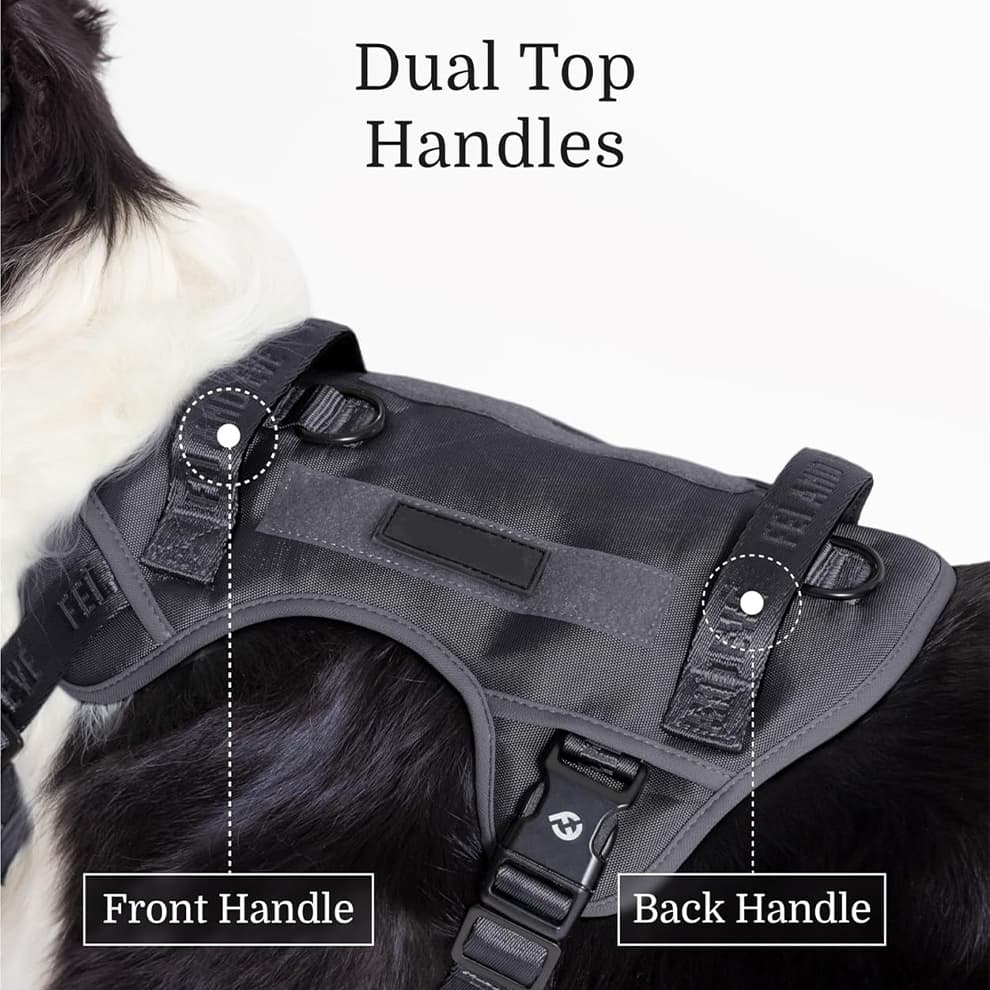 No pull dog harness with front clip and back ring for training and walking