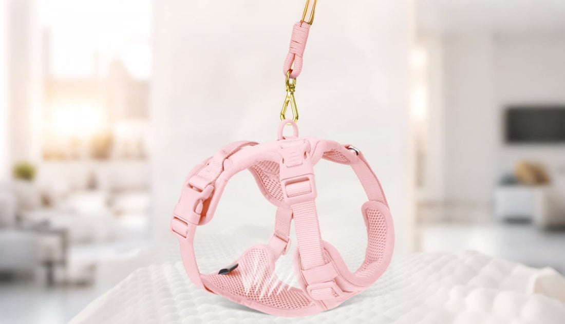 No pull dog harness in cherry blossom pink showing soft padded vest and lightweight breathable design for everyday comfort