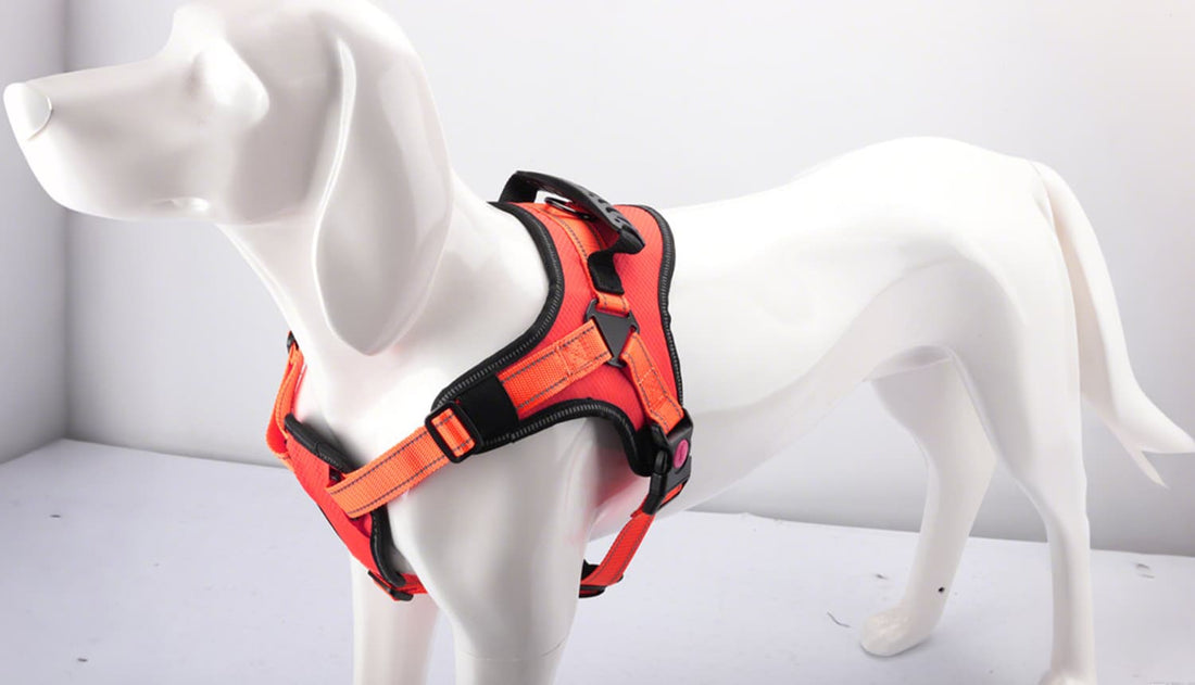 No pull dog harness for large dogs shown on mannequin with adjustable straps