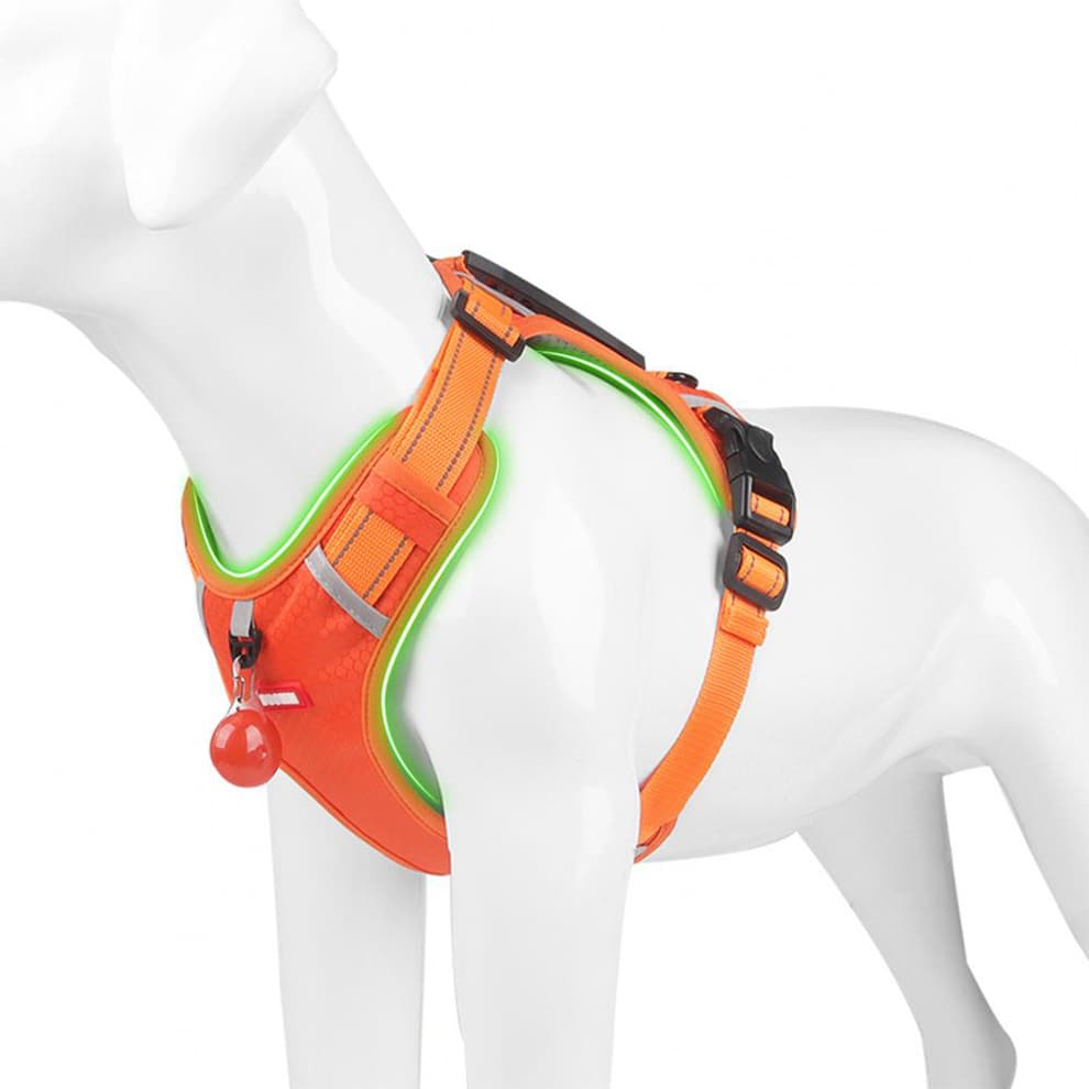Front clip dog harness in bright orange with reflective strips for safety