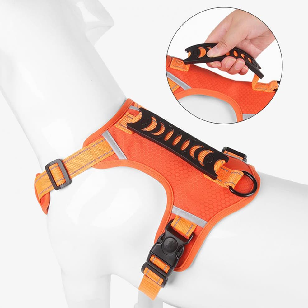 Dog harness with reinforced handle for better control and training support