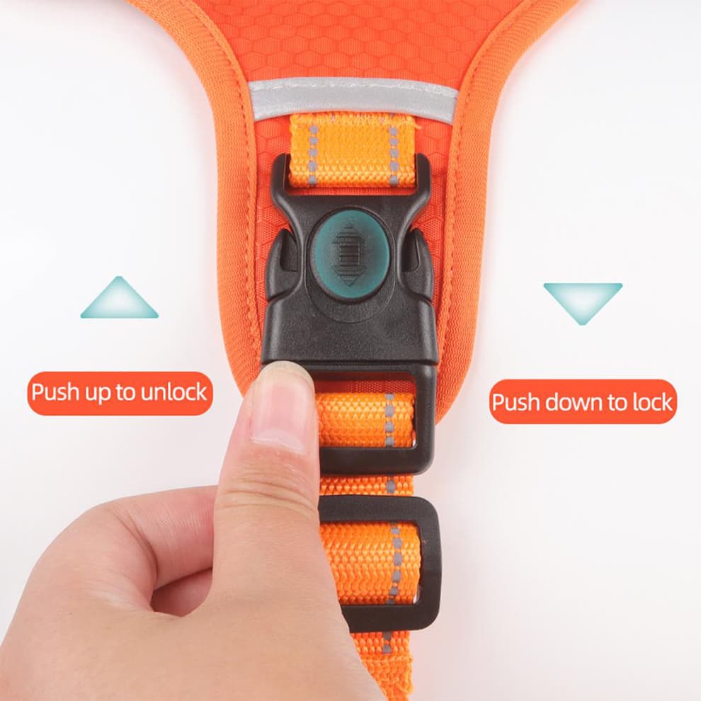 Secure double buckle lock system on no pull dog harness for easy wearing