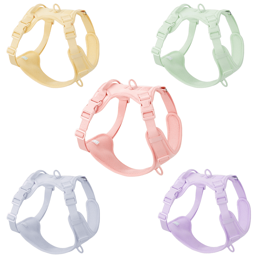 No pull dog harness macaron color collection including pink, purple, green, yellow, and blue tones, showing lightweight and breathable design