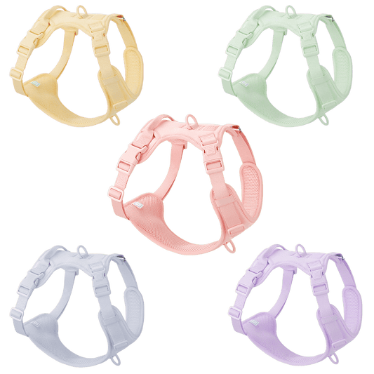 No pull dog harness macaron color collection including pink, purple, green, yellow, and blue tones, showing lightweight and breathable design