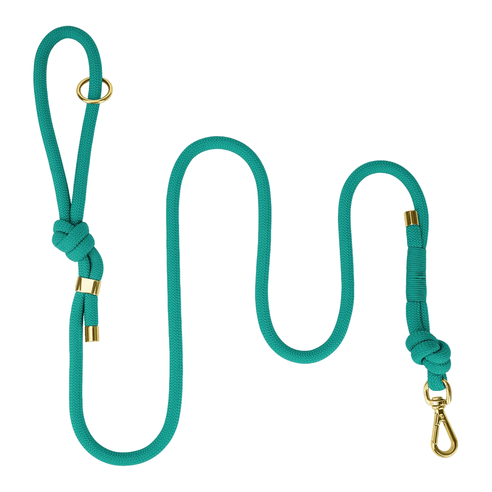 No pull dog leash with soft handle and metal clip for medium large dogs