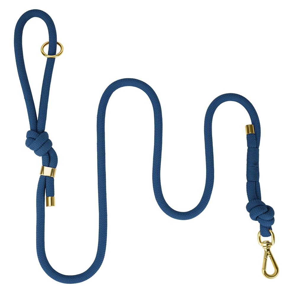 Blue rope dog training leash with secure metal clip and durable design