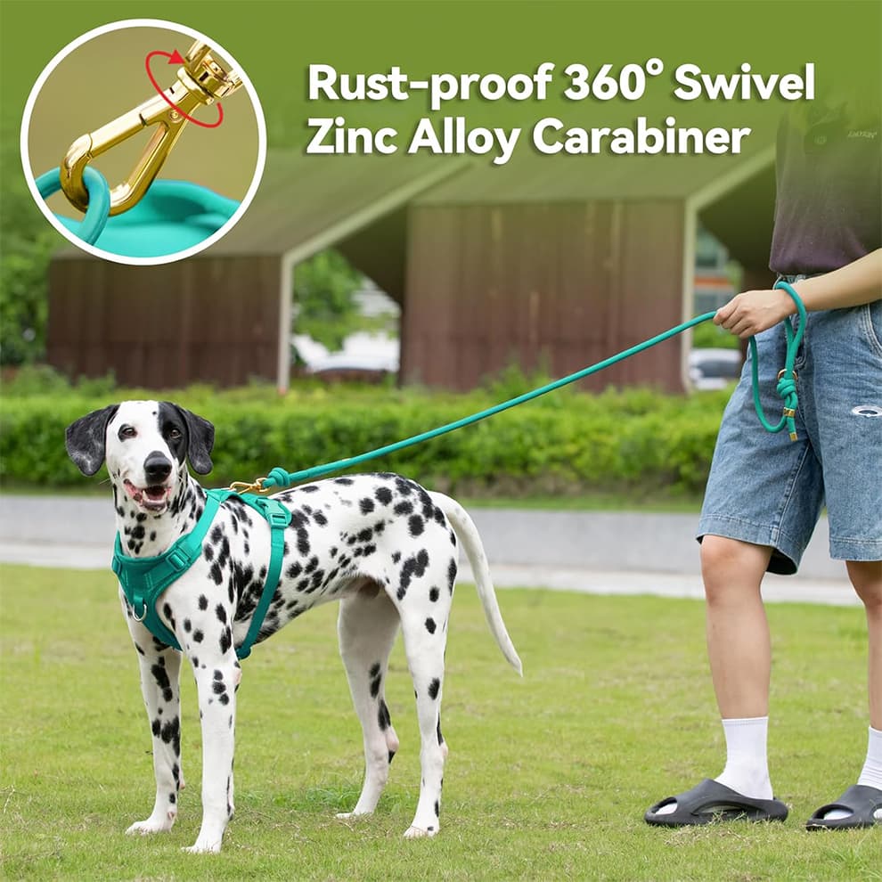 Strong dog leash with rust proof 360 degree zinc alloy carabiner clip