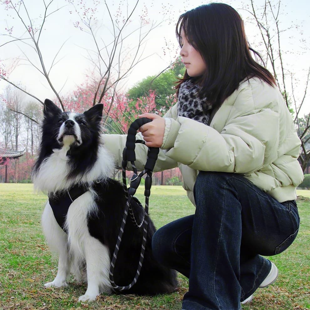 Heavy duty training leash reduces sudden pulling with stable, tangle-free control