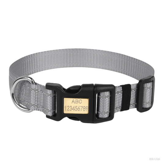 Nylon dog collar with engraved ID buckle and reflective stitching for safety