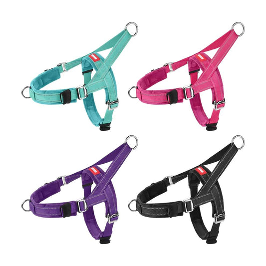 One size fits all dog harness available in cyan, pink, purple, and black, designed with multi-point adjustment to grow with your pet.