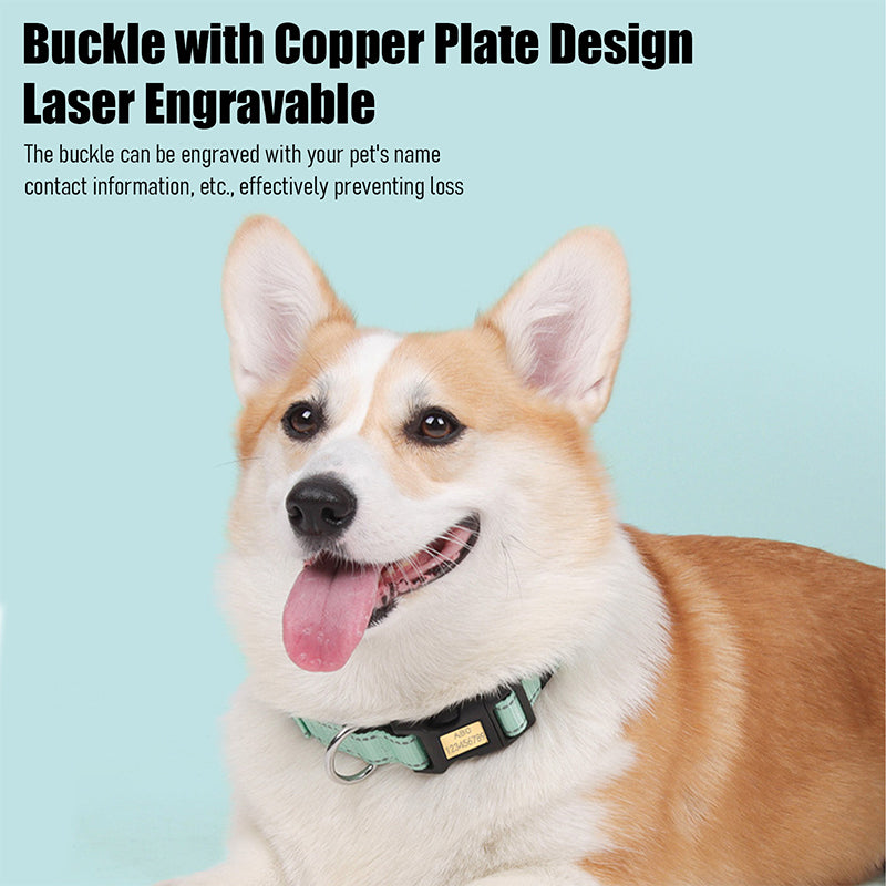 Personalized nylon choke collar dog design with engraved plate