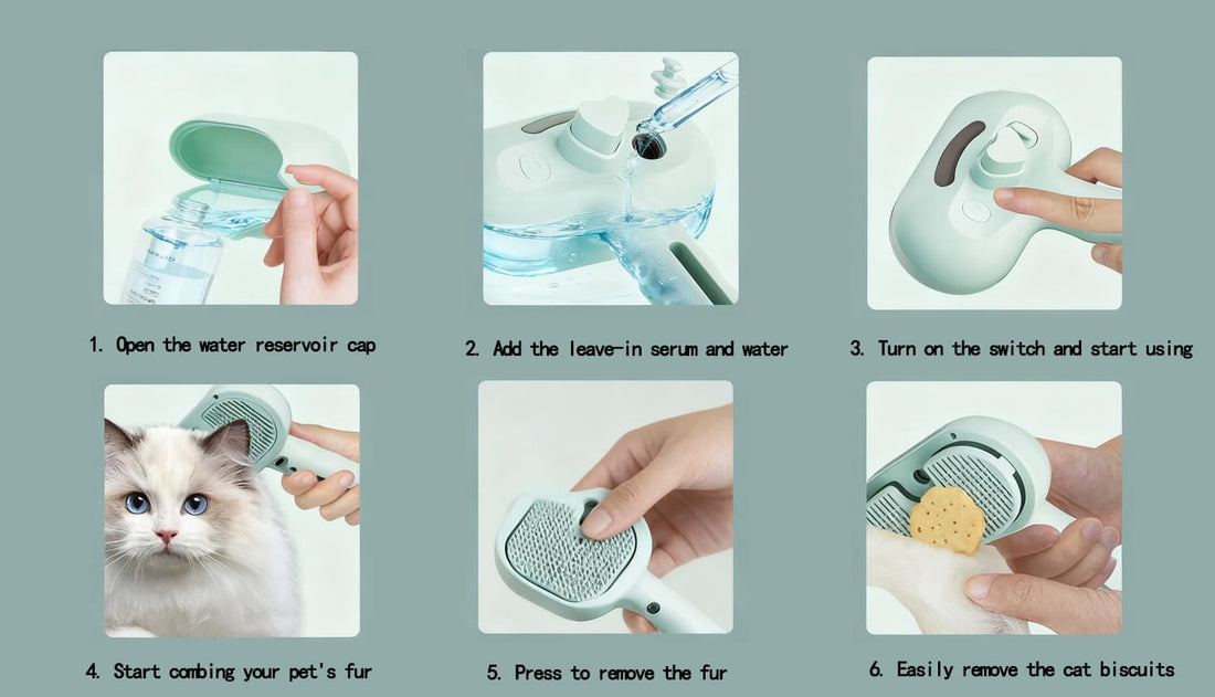 Step by step guide showing how to use the pet steam brush with water and serum