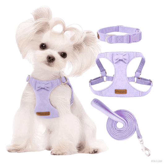 Puppy harness and leash set in soft purple, comfortable and stylish for small dogs