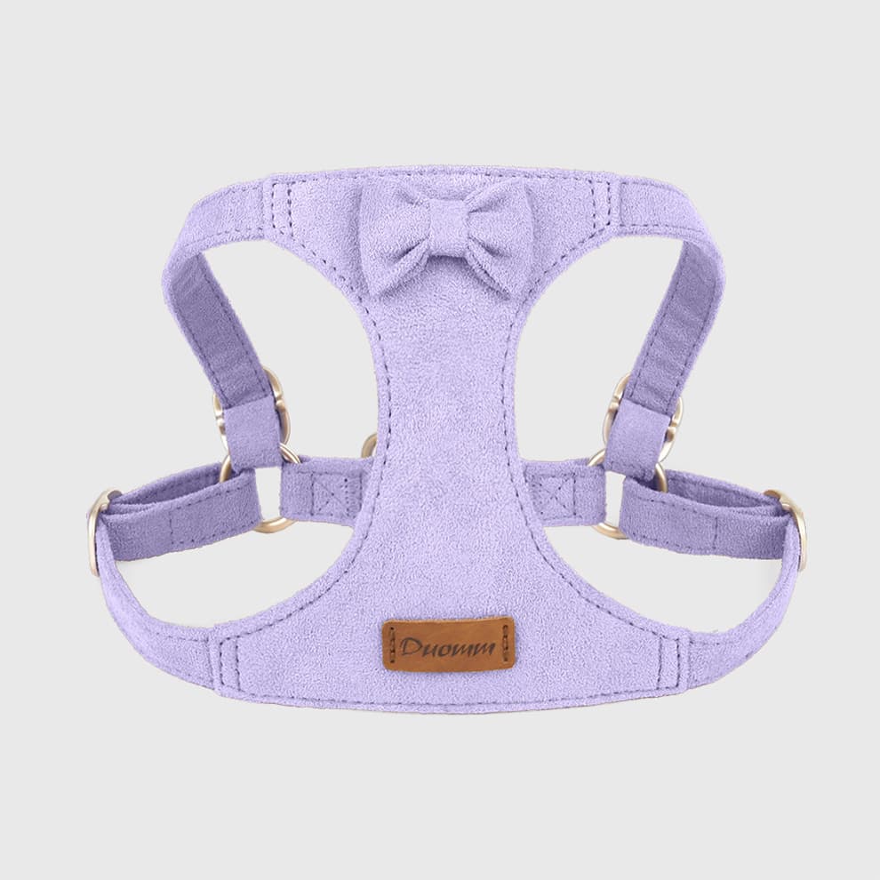 Harness and leash for small dogs in purple with soft suede fabric