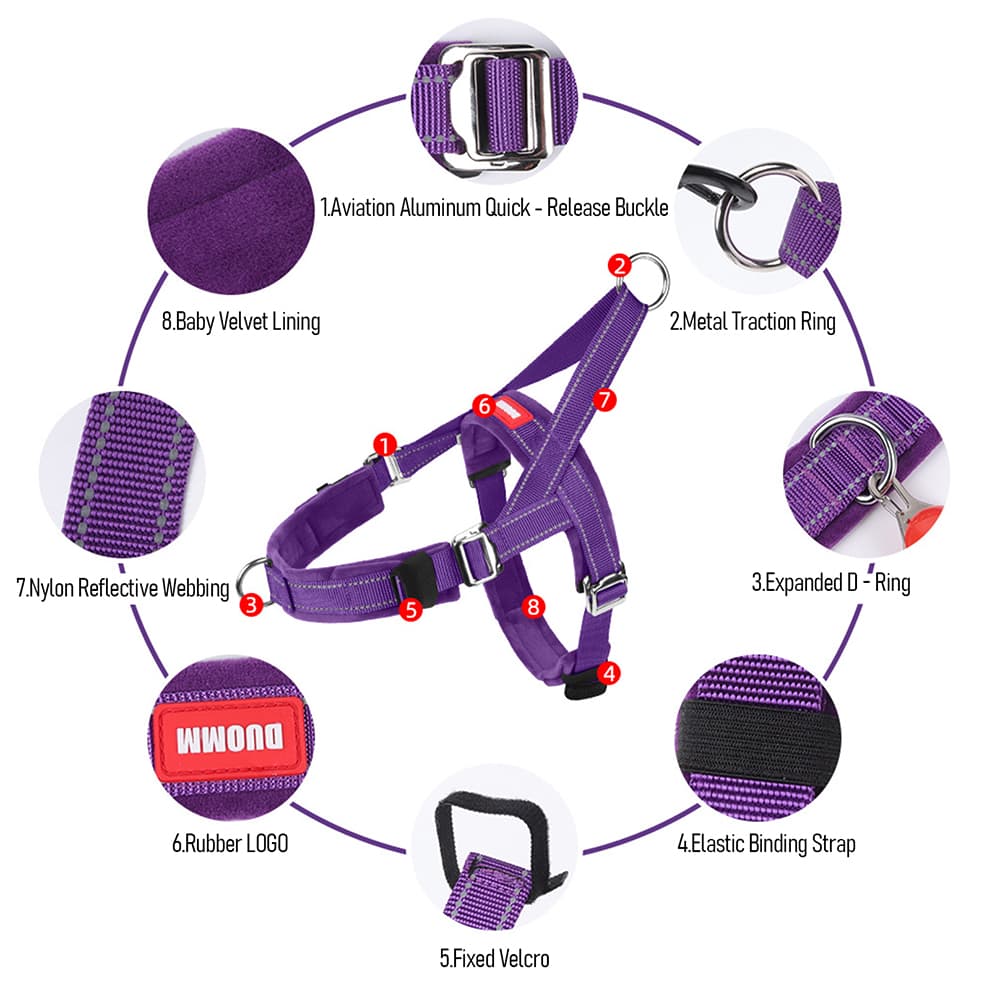Feature highlights of purple adjustable dog harness with reflective webbing and metal rings