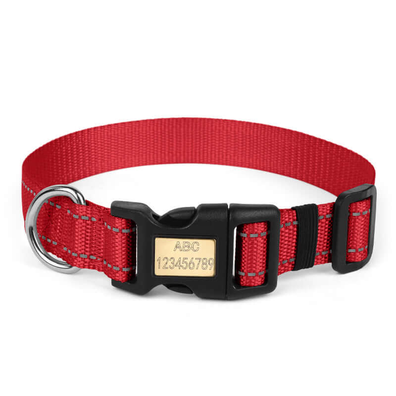 Nylon dog collar in red with engraved copper plate and strong metal D-ring for leash attachment