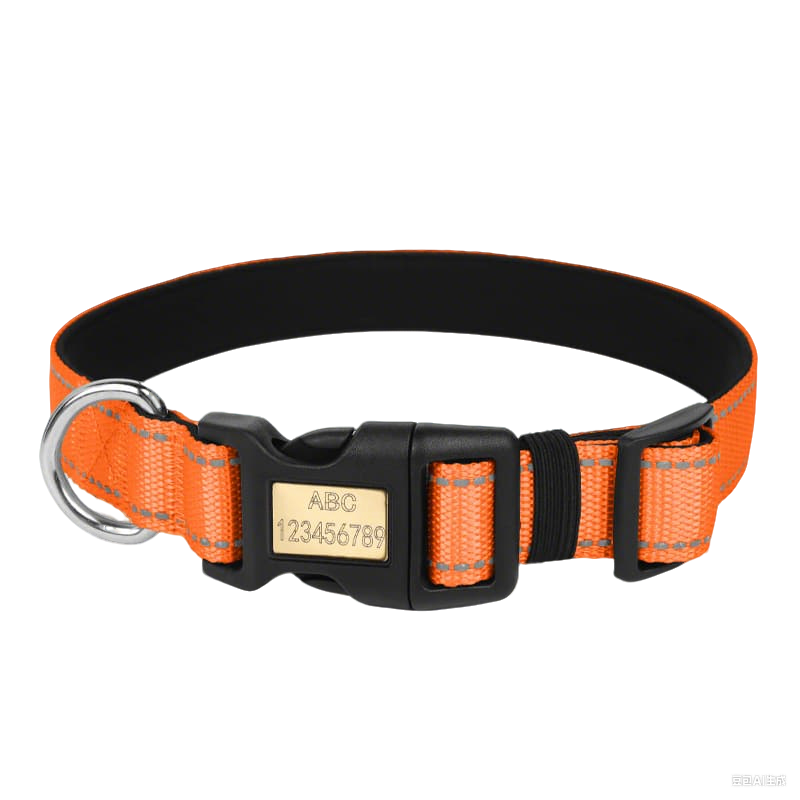 Reflective dog collar with engraved name buckle and reflective strips