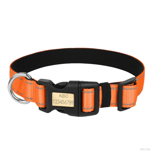 Reflective dog collar with engraved name buckle and reflective strips