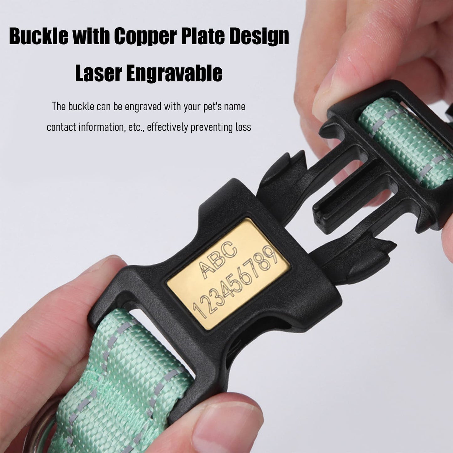Reflective dog collar with name tag engraving for identification
