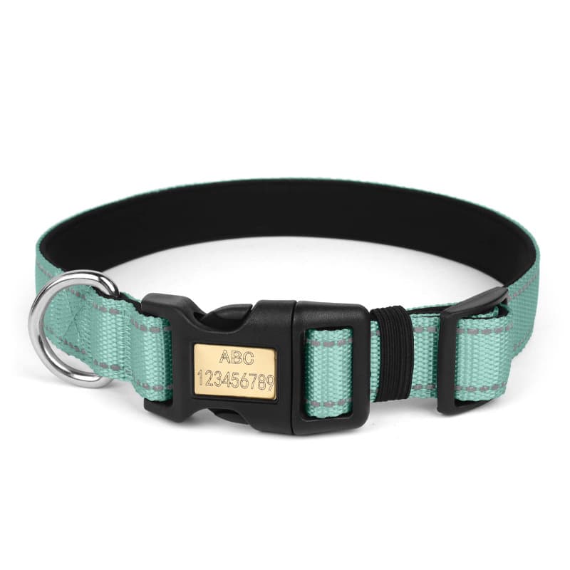 Reflective dog collar green adjustable personalized with engraved name buckle